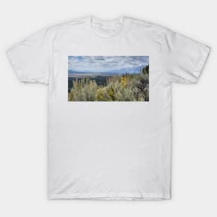 Signal Mountain In Grand Teton Np T-Shirt